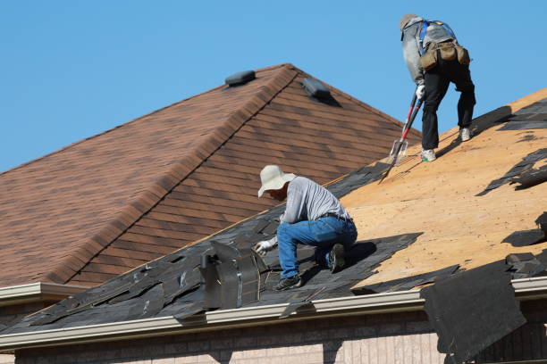 Best Roof Restoration  in Wedgefield, SC