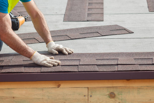 Best Skylight Installation and Repair  in Wedgefield, SC